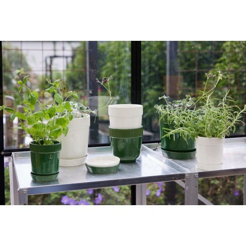 ELISE DONICZKA, BIAŁY Biały 5018488- (6)