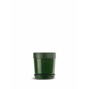 ELISE DONICZKA, ZIELONY