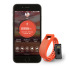 Smartband z pulsometrem Fiolet EG 016512 (1) thumbnail