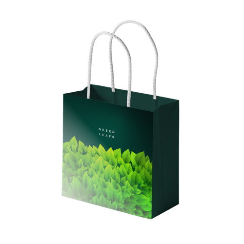 Torba papierowa Uniwersalny Pr02 