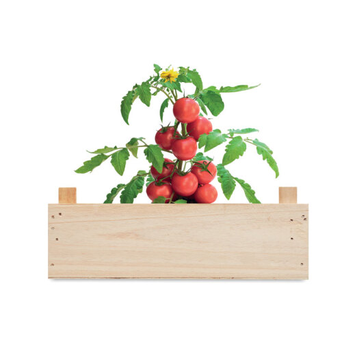 Zestaw do uprawy pomidorów drewna MO6498-40 (3)