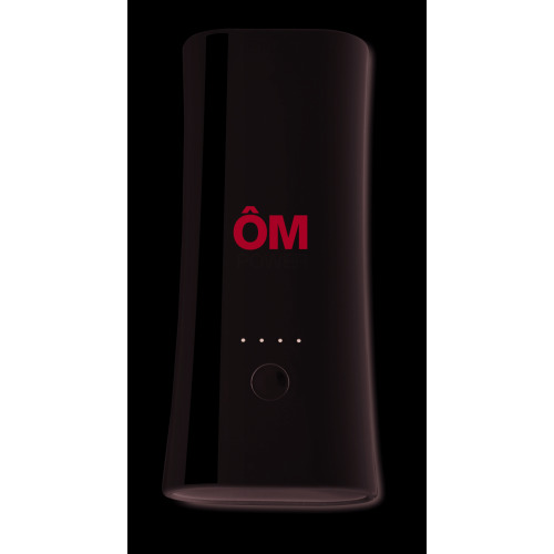 2w1 Powerbank z latarką Biały MO8883-06 (5)