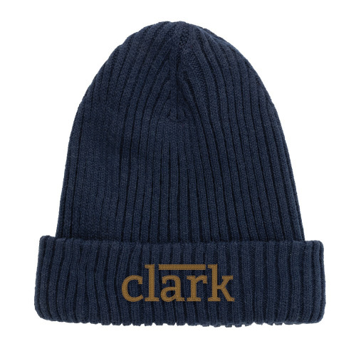 Czapka AWARE™ Polylana® Niebieski P453.3925 (1)