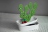 Pojemnik z wieszakiem na akcesoria Caccessories kaktus Biały QL10281-WH-GN (7) thumbnail