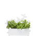 Form stojak na zioła, biały default 5016473 (1) thumbnail