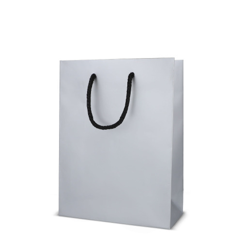 Papierowa torba prezentowa 18 x 8 x 24 cm 200 g/m² Srebrny LT91515-N0005 (2)