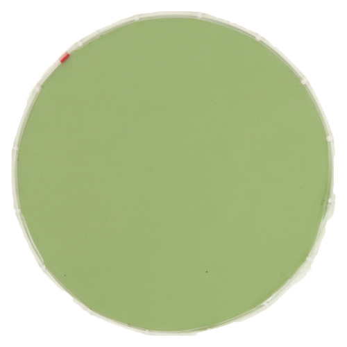 Miętówki bez cukru Jasnozielony V4714-10 (2)