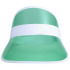 Bright czapka z przezroczystym daszkiem  Zielony 39571610  thumbnail