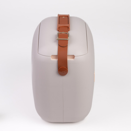 Polarbox lodówka 6L z 2 pojemnikami Perłowy – Złoty PBX69345 (1)