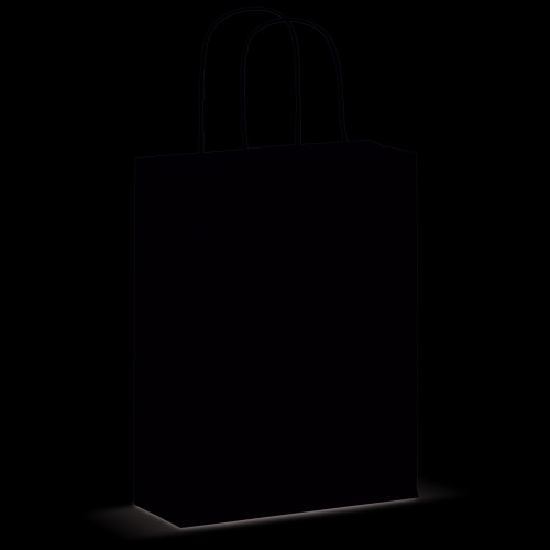 Torba papierowa ze skręcanymi uchwytami 90g/m² 18x8x22cm Biały LT91622-N0001 