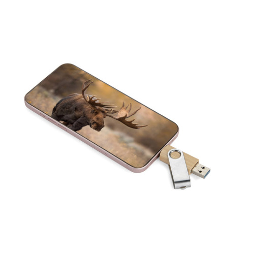 Pamięć USB TWISTER-PRO 32 GB 3.0 OTG Beżowy 44097-17 (5)