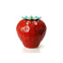 Pojemnik do przechowywania Storeberry Czerwony QL10243-RD  thumbnail