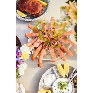 Talerz DAGNY średni, biały