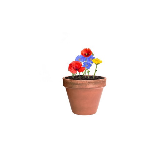Kula nasienna, kula z nasionami dzikich kwiatów neutralny V7224-00 (4)