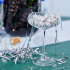 Byon Opacity zestaw 2 kieliszków do szampana ze stylowym wzorem szkła 300 ml Transparentny LT53026-N0004 (2) thumbnail