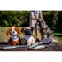Berni, pluszowy pies brązowy HE751-16 (8) thumbnail