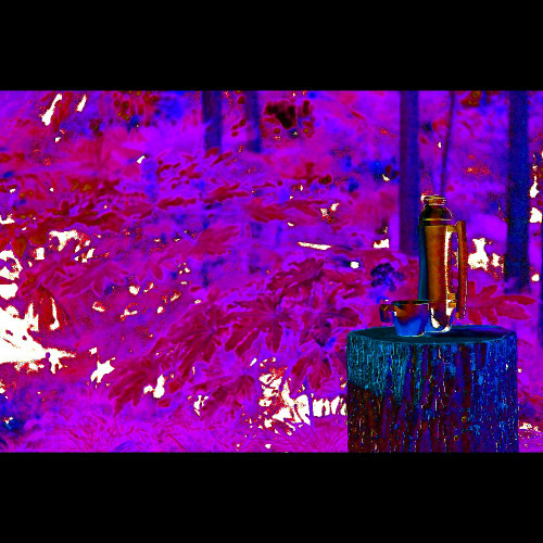 Termos 700 ml z uchwytem, 2 kubki Czarny V4694-03 (7)