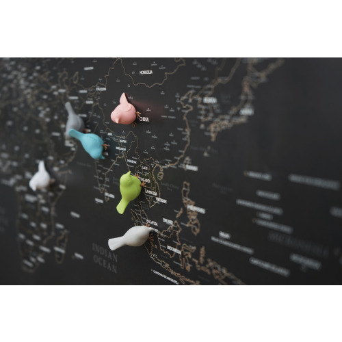 Zestaw 6 magnesów Mini Sparrow pastelowych Wielokolorowy QL10258-PT (3)