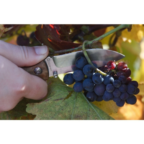 Nóż składany JUNGLE Schwarzwolf Brązowy F1900600SA301 (3)