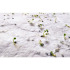 Arkusz A4 z nasionami kwiatów biały MO6914-06 (4) thumbnail