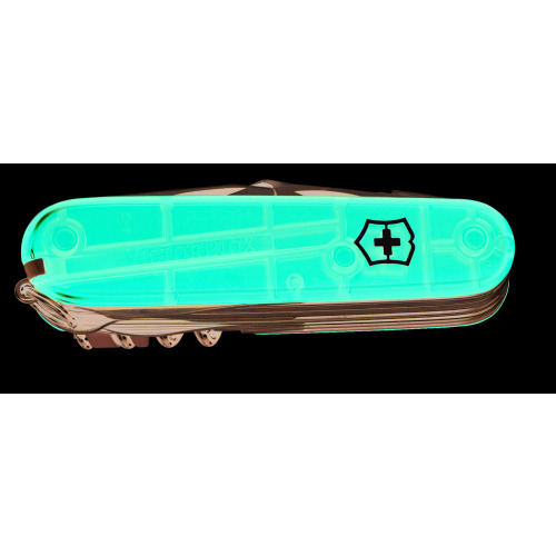 SwissChamp Wielokolorowy 1679565 