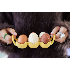 ELLEN TACKA DO JAJEK, ZŁ&Oacute;TY