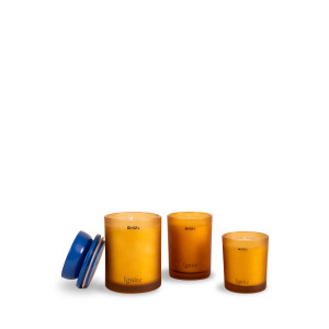 IGNITE ŚWIECA ZAPACHOWA 45 GODZ., BURSZTYNOWY