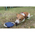 Frisbee dla psa RINGO Niebieski 20059-03 (4) thumbnail