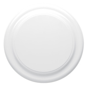 Frisbee