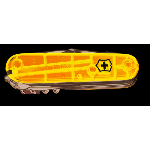 SwissChamp Przeźroczysty niebieski 1679564 