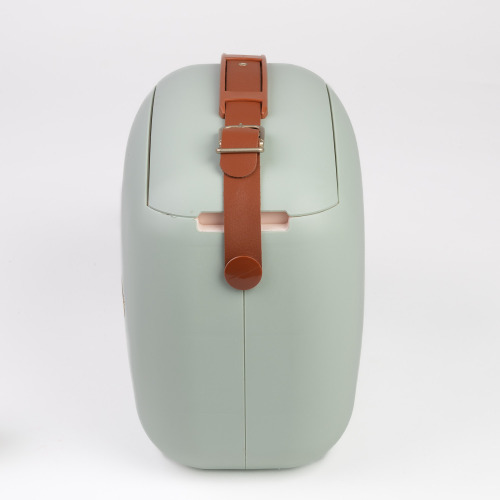 Polarbox lodówka 6L z 2 pojemnikami Matcha – Złoty PBX69344 (1)