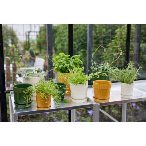 ELISE DONICZKA, BIAŁY