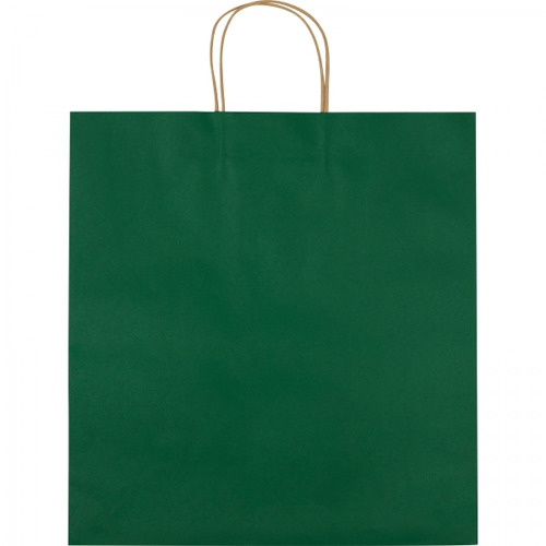 Torba papierowa duża 120 g/m2 GUS Zielony 6181709 (1)