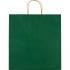 Torba papierowa duża 120 g/m2 GUS Zielony 6181709 (1) thumbnail