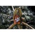 Ginny, pluszowa wiewiórka, brelok pomarańczowy HE740-07 (6) thumbnail