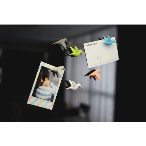 Magnesy Hummingbird mix Wielokolorowy QL10102-PT (1)