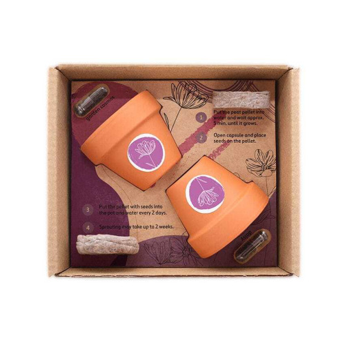 Podwójne roślinne etui Naturalny TIP32 