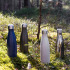 Sagaform Nils Butelka stalowa malowana proszkowo 500 ml Ciemnoniebieski LT52029-N0010 (4) thumbnail