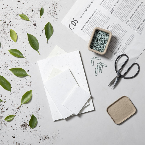 Zestaw do notatek, karteczki samoprzylepne, papier z nasionami Biały V2781-02 (7)