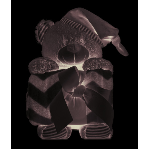 Duży miś z kocem Szary MO9841-07 (2)