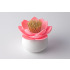 Pojemnik na wykałaczki Lotus Różowy QL10156-WH-PK (1) thumbnail