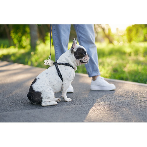 Zasobnik z woreczkami na psie odchody Neutralny V7802-00 (1)