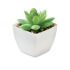 Mini sztuczna roślina Bialy MO2854-06  thumbnail