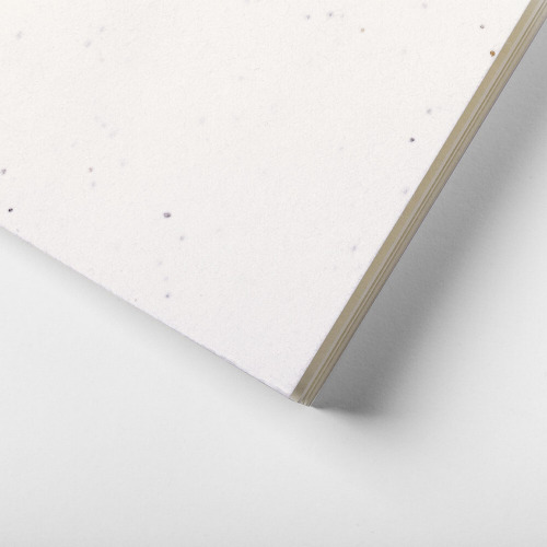 Notatnik A6, papier z nasionami Biały V0242-02 (8)