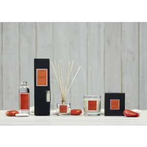 Świeca Santiago 230g Brazilian mango CERERIA MOLLA