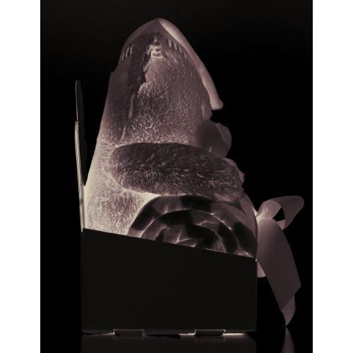 Duży miś z kocem Szary MO9841-07 (4)