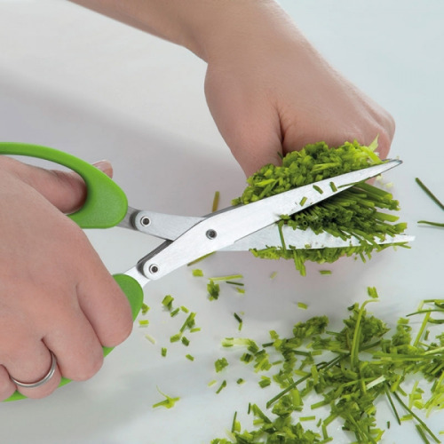 Nożyczki do szczypiorku BILBAO Jasnozielony 302629 (2)