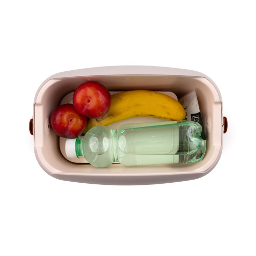 Polarbox lodówka 6L z 2 pojemnikami Mauve (Fioletowy) – Złoty PBX69347 (3)