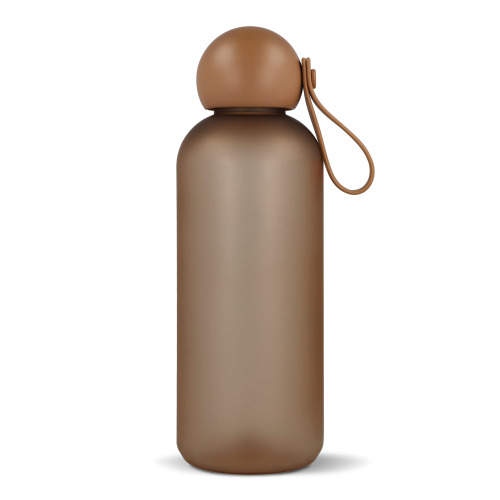 Butelka na wodę Sagaform Tom 650 ml Brązowy LT52058-N0051 (1)