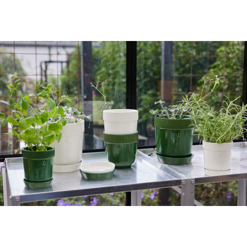 ELISE DONICZKA, ZIELONY Zielony 5018490- (3)